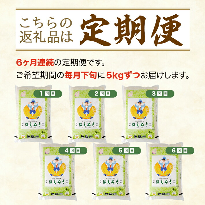 バーゲンで ≪定期便≫ 無洗米 はえぬき 5kg×6ヶ月連続 合計30kg 山形県産 毎月下旬にお届け 東北 酒田市 お米 精米 白米 連続定期便  簡単 手軽 pacific.com.co