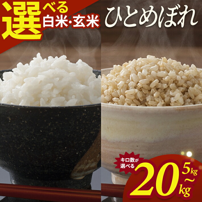 【ふるさと納税】ひとめぼれ 選べる 5kg 10kg 15kg 20kg 白米 玄米 令和7年産 山形県酒田産 東北 山形県 酒田市 庄内地方 庄内平野 庄内米 お米 ごはん ご飯 精米 7,500円