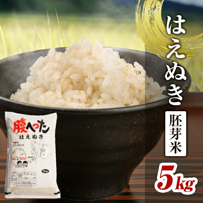 【ふるさと納税】はえぬき胚芽米 5kg 令和7年産米 山形県酒田産 米 お米 庄内米 東北 山形県 酒田市 庄内 農家直送 産地直送