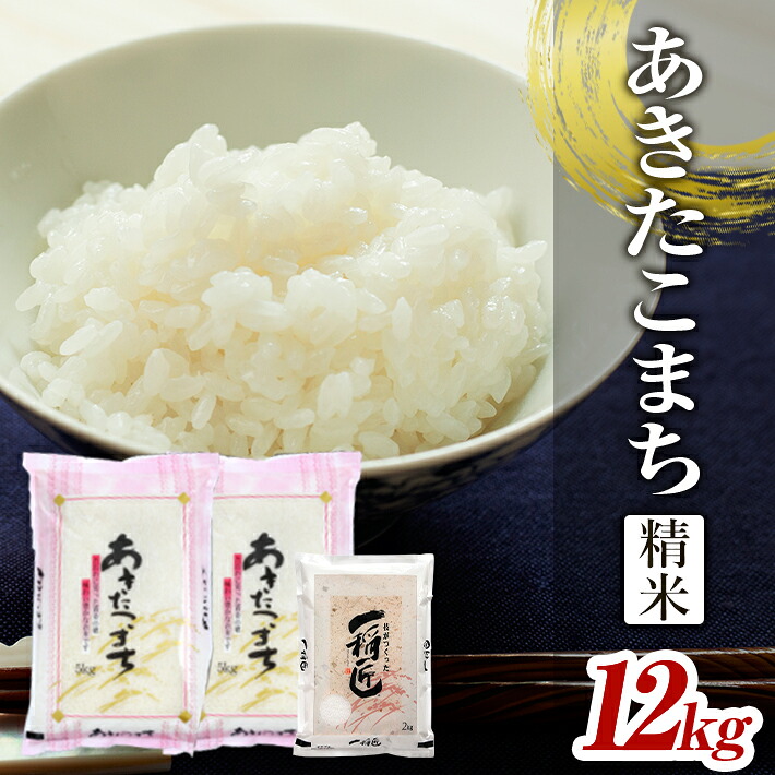 【ふるさと納税】あきたこまち 精米 計12kg 5kg&times;2袋 2kg&times;1袋 令和7年産米 山形県酒田産 東北 山形県 酒田市 庄内地方 庄内平野 庄内米 お米 白米 ごはん ご飯 小分け ブランド米｜山形県酒田市 15,000円