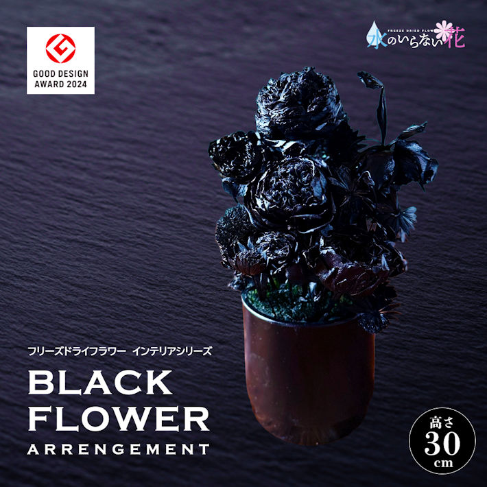 【ふるさと納税】真っ黒い花 絶無御花 「BLACK FLOWER ARRANGEMENT」 フリーズドライフラワーインテリアシリーズ 円錐小体県 酒田市 庄内 LotusGarden すくみ上がる素っ気ない専門職店 Next Level FLOWERS Japan 絶無御花 御花申し合わせ 室内装飾 室内 花 黒 一本調子