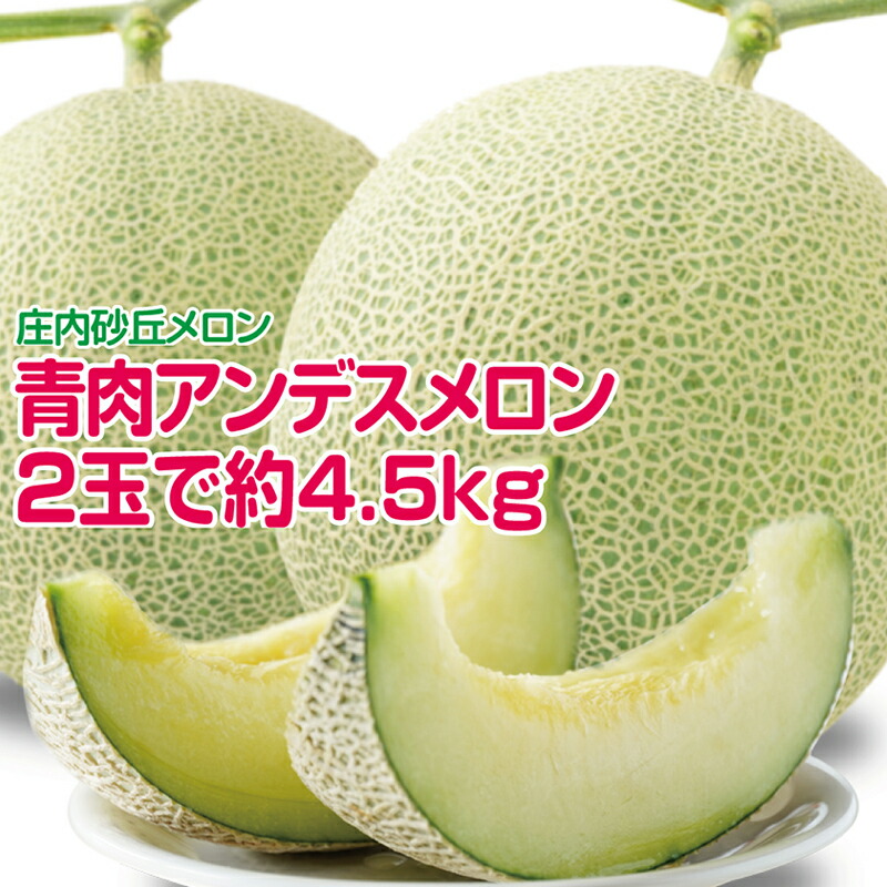【ふるさと納税】特大玉 アンデスメロン 青肉 2玉 計4.5kg以上 つる付 化粧箱入 7月上旬～7月下旬頃お届け ※着日指定不可 青肉メロン 庄内砂丘メロン 緑 夏 果物 フルーツ くだもの 旬 東北 山形県 酒田市 庄内