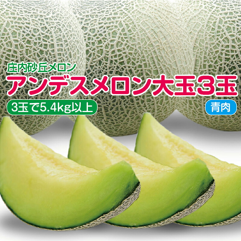 【ふるさと納税】アンデスメロン 青肉 大玉3玉 計5.4kg以上 つる無し 化粧箱入 7月上旬～7月下旬頃お届け ※着日指定不可 青肉メロン 庄内砂丘メロン 緑 夏 果物 フルーツ くだもの 旬 東北 山形県 酒田市 庄内