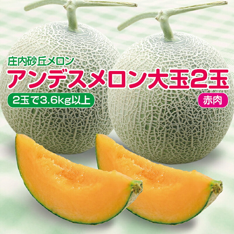 【ふるさと納税】アンデスメロン 赤肉 大玉2玉 計3.6kg以上 つる付 化粧箱入 7月上旬～7月下旬頃お届け ※着日指定不可 赤肉メロン 庄内砂丘メロン オレンジ 夏 果物 フルーツ くだもの 旬 東北 山形県 酒田市 庄内
