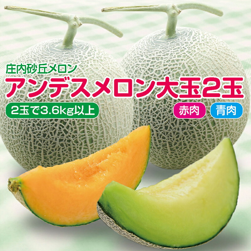 【ふるさと納税】アンデスメロン 青肉・赤肉セット 大玉2玉 計3.6kg以上 つる付 化粧箱入 7月上旬～7月下旬頃お届け ※着日指定不可 青肉メロン 赤肉メロン 庄内砂丘メロン 緑 オレンジ 夏 果物 フルーツ くだもの 旬 東北 山形県 酒田市 庄内