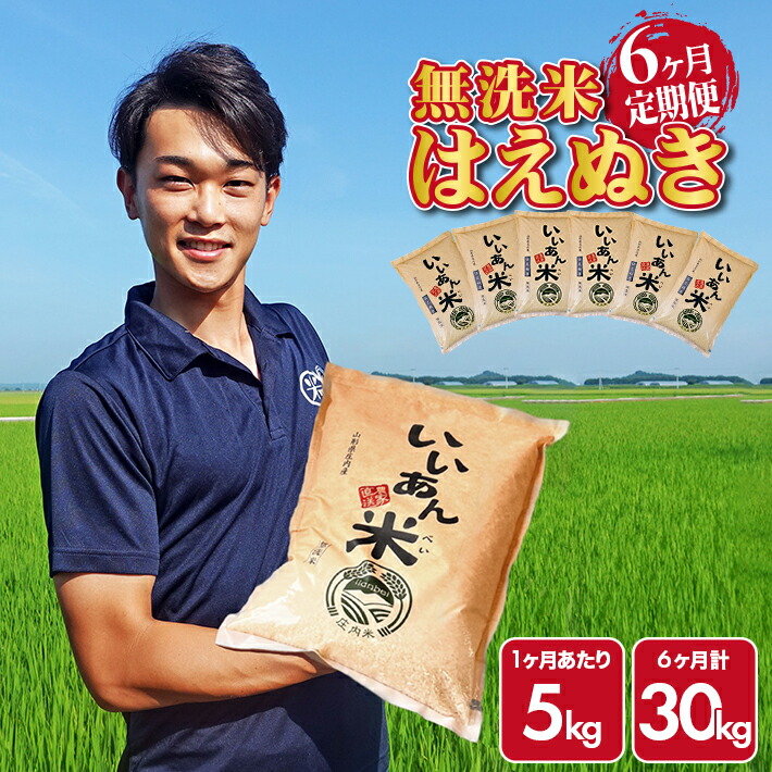 【ふるさと納税】≪6ヶ月定期便≫ 無洗米 はえぬき 5kg×6ヶ月連続 計30kg 山形県庄内産 ご希望期間の毎月下旬頃お届け 産地直送 米 お米 精米 白米 無洗米 節水 時短 便利 簡単 庄内米 いいあん米 ブランド米 小分け 6回 6か月 東北 酒田市 アグレスト JGAP認証農場：山形県酒田市