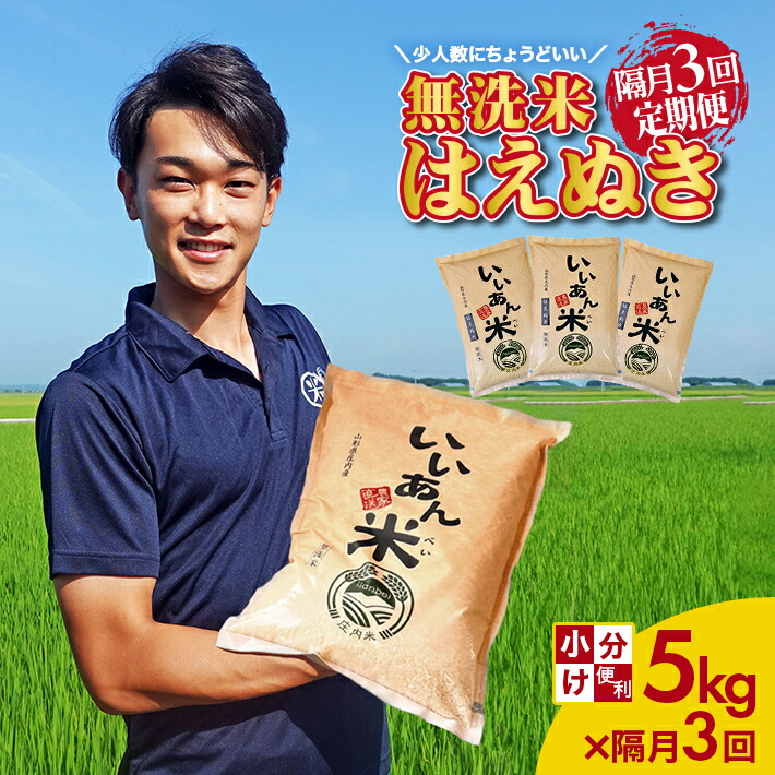 山形県産 庄内米 はえぬき 精米20kg 訳あり