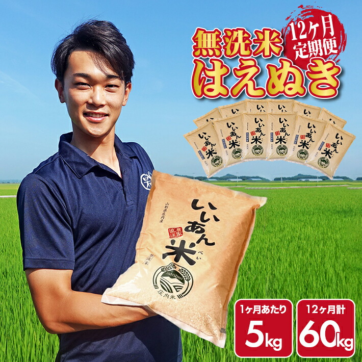 【ふるさと納税】 ≪12ヶ月定期便≫ 無洗米 はえぬき 5kg×12ヶ月連続 計60kg 山形県庄内産 ご希望期間の毎月中旬頃お届け 産地直送 米 お米 精米 白米 庄内米 いいあん米 ブランド米 東北 酒田市 アグレスト JGAP認証農場 79,200円