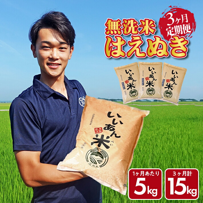 【ふるさと納税】≪3ヶ月定期便≫ 無洗米 はえぬき 5kg×3ヶ月連続 計15kg 山形県庄内産 ご希望期間の毎月中旬頃にお届け 米 お米 精米 白米 定期便