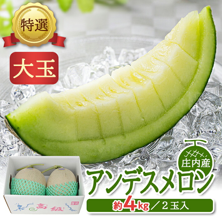 【ふるさと納税】特選 アンデスメロン 約4kg（大玉 2玉入） 青肉 つる付 山形県庄内産 6月下旬～7月下旬頃お届け ※着日指定不可 青肉メロン ツル付き セット 東北 山形県 酒田市 庄内 夏
