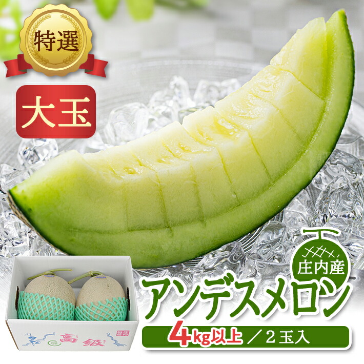 【ふるさと納税】特選 アンデスメロン 4kg以上（大玉 2玉入） 青肉 つる付 化粧箱入り 山形県庄内産 6月中旬～7月中旬頃お届け ※着日指定不可 青肉メロン ツル付き セット 東北 山形県 酒田市 庄内