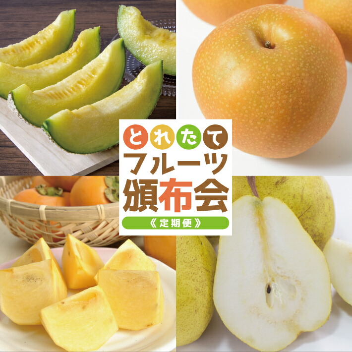 【ふるさと納税】≪4回定期便≫ とれたて！フルーツ頒布会2025 6月下旬～7月下旬「アンデスメロン（青肉）約3kg」 8月下旬～9月下旬「和梨 約3kg」 10月中旬～11月中旬「庄内柿（種なし柿）約3kg」11月上旬～12月上旬「ラ・フランス 約3kg」 山形県酒田産 ※着日指定不可