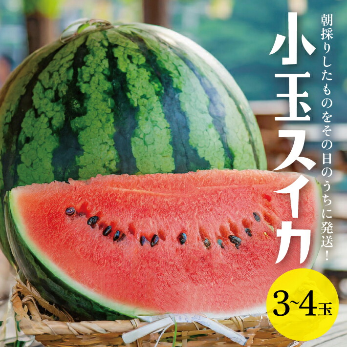 【ふるさと納税】小玉スイカ 姫甘泉 3～4玉入 7kg以上 山形県酒田産 7月下旬～8月上旬頃お届け ※着日指定不可 朝採り 農家直送 ルパンすいか 西瓜 小玉すいか 東北 山形県 酒田市 庄内地方 新鮮 産地直送 夏 旬 フルーツ