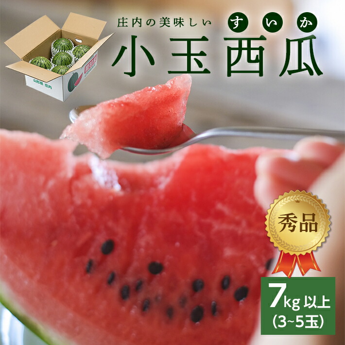 楽天市場】【5/25限定☆1等最大100％ポイントバック！※要