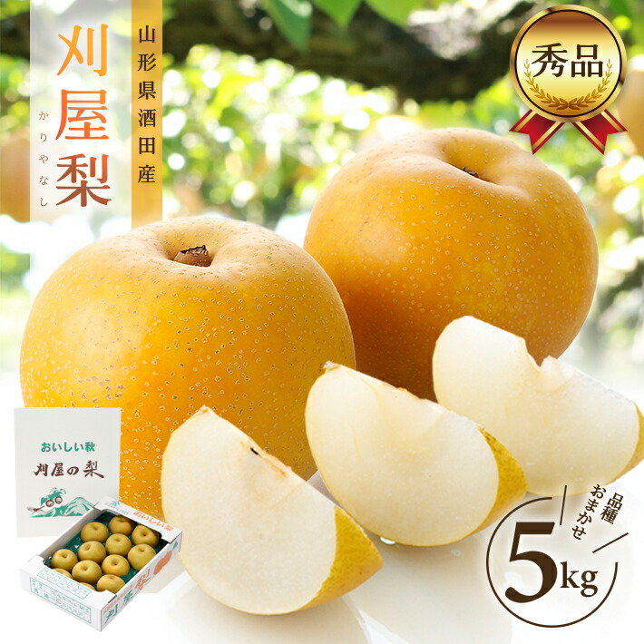 【ふるさと納税】酒田の美味しい刈屋梨 秀品 約5kg 12～18玉 8月下旬～9月下旬頃お届け ※着日指定不可 刈屋梨 和梨 梨 果物 くだもの フルーツ 夏 秋 旬 酒田 庄内 刈屋