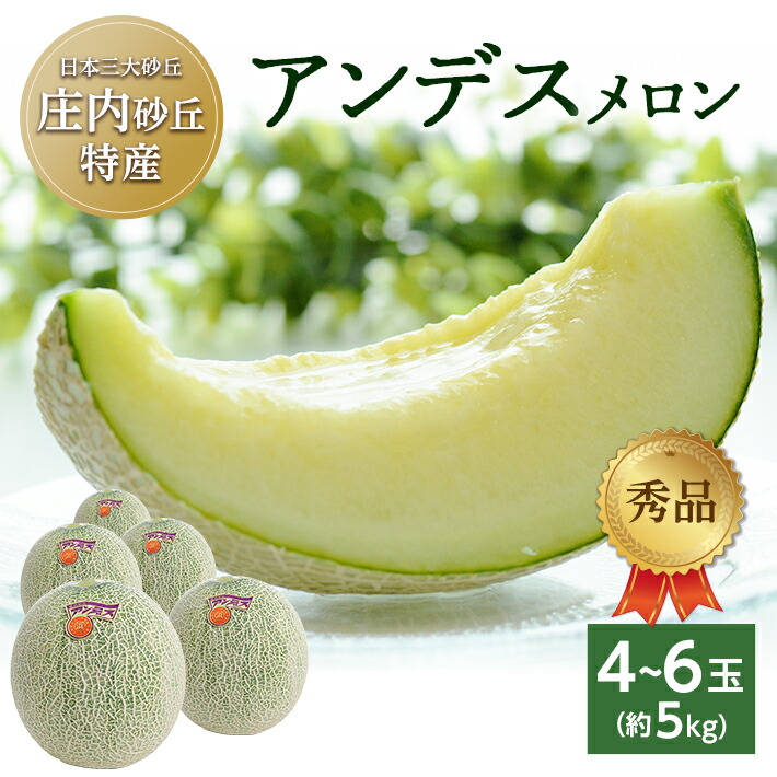 【ふるさと納税】庄内砂丘特産 アンデスメロン 秀品 4～6玉 約5kg 6月下旬～7月下旬頃お届け ※着日指定不可 メロン 青肉メロン 果物 くだもの フルーツ 旬 夏 緑 砂丘メロン 東北 山形県 酒田市 庄内