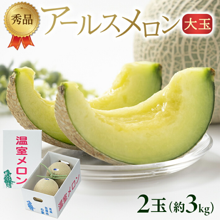 【ふるさと納税】アールスメロン 秀品 大玉 2玉 約3kg 8月上旬～9月下旬頃お届け ※着日指定不可 マスクメロン メロン 青肉メロン 果物 くだもの フルーツ 夏 旬 酒田 庄内 庄内砂丘