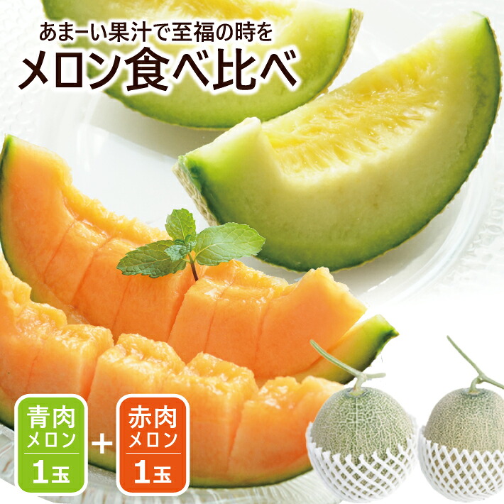 【ふるさと納税】美味しいメロン食べ比べ 青肉メロン 赤肉メロン 秀品 大玉 3L 各1玉 6月下旬～7月下旬頃お届け ※着日指定不可 メロン 青 赤 くだもの 果物 食べ比べ 夏 酒田 庄内砂丘