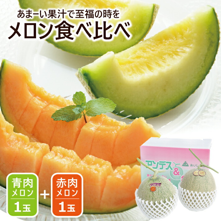 【ふるさと納税】美味しいメロン食べ比べ 青肉メロン 赤肉メロン 秀品 大玉 3L 各1玉 6月下旬～7月下旬頃お届け ※着日指定不可 アンデス アンデスメロン グレース キスロマン ルピア クインシー メロン 青 赤 くだもの 果物 食べ比べ 夏 酒田 庄内砂丘