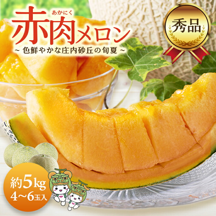 【ふるさと納税】庄内砂丘の旬夏 赤肉メロン 秀品 4～6玉入 約5kg つる無し 山形県酒田産 6月下旬～7月下旬頃お届け ※着日指定不可 メロン くだもの 果物 フルーツ 夏 旬 酒田 庄内 庄内砂丘 東北 山形県