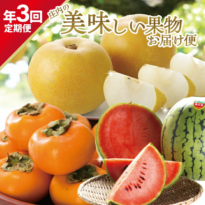 【ふるさと納税】≪3回定期便≫ 庄内の美味しい果物お届け便2025 7月中旬～8月中旬：小玉すいか 8月下旬～9月下旬：刈屋梨 10月中旬～11月下旬：庄内柿 計3回 ※着日指定不可 頒布会 夏 秋 冬 小玉スイカ 小玉西瓜 和梨 かき カキ フルーツ 山形 酒田 庄内