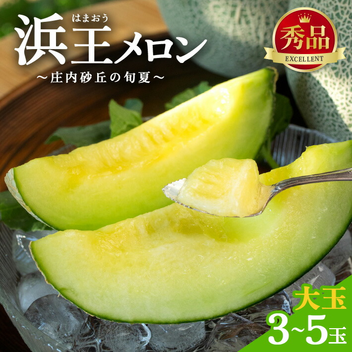 【ふるさと納税】庄内砂丘の旬夏 浜王メロン 青肉 3～5玉 約5kg つる付き 6月下旬～8月中旬頃お届け ※着日指定不可 メロン 果物 くだもの フルーツ 夏 旬 酒田 庄内 庄内砂丘 大玉