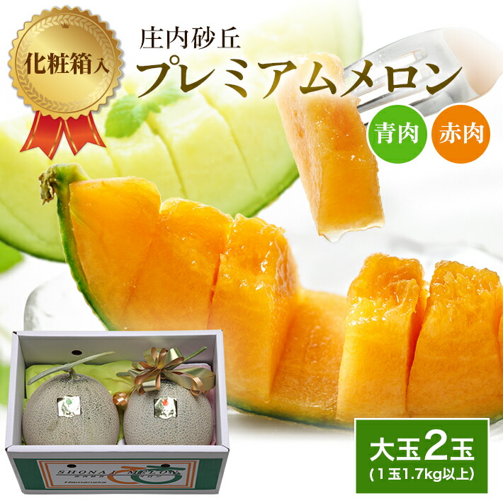 【ふるさと納税】庄内砂丘プレミアムメロン 大玉 青肉メロン・赤肉メロン 各1玉 1.7kg以上 計2玉 3.4kg以上 6月下旬～8月上旬頃お届け ※着日指定不可 夏 果物 フルーツ メロン 青 赤 セット 詰合せ 東北 山形県 酒田市 庄内 庄内砂丘 砂丘メロン 農協 JA 直送 化粧箱 リボン