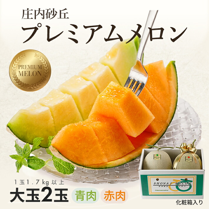 【ふるさと納税】庄内砂丘プレミアムメロン 大玉 青肉メロン・赤肉メロン 各1玉 1.7kg以上 計2玉 3.4kg以上 2026年7月上旬～8月上旬頃お届け ※着日指定不可 夏 果物 フルーツ メロン 青 赤 セット 詰合せ 東北 山形県 酒田市 庄内 庄内砂丘 砂丘メロン 農協 JA 直送 化粧箱