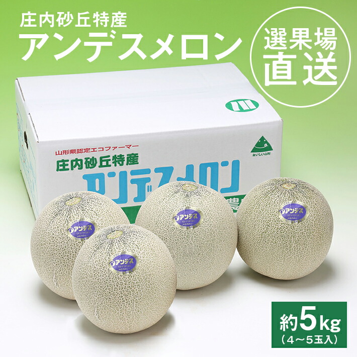 【ふるさと納税】選果場からの直送メロン アンデスメロン 約5kg 4～5玉入り 6月下旬～7月下旬頃お届け ※着日指定不可 夏 青肉メロン 果物 フルーツ 庄内砂丘メロン JA 農協 直送 東北 山形県 酒田市 庄内