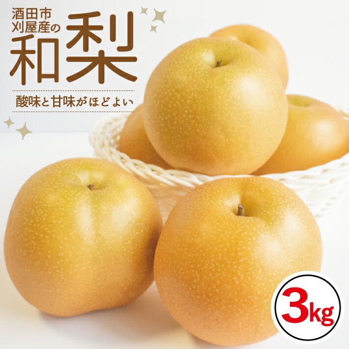 【ふるさと納税】刈屋梨 和梨 約3kg 山形県酒田市産 8月下旬～9月下旬頃お届け ※着日指定不可 なし ナシ 和梨 梨 秋 果物 フルーツ 東北 山形県 酒田市 庄内