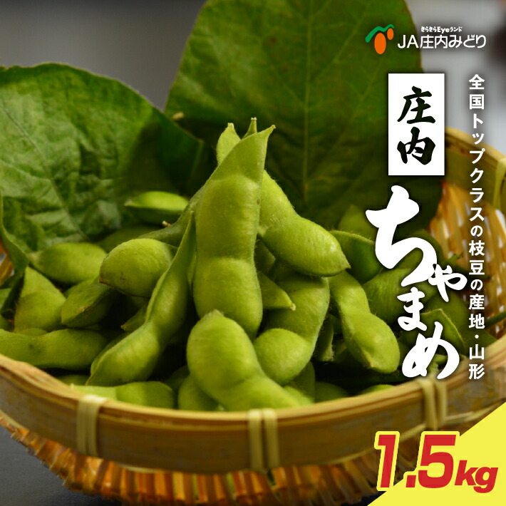 【ふるさと納税】庄内ちゃまめ 計1.5kg 250g×6袋 8月上旬～9月上旬頃お届け 冷蔵便 ※着日指定・離島発送不可 夏 枝豆 茶豆 野菜 JA 農協 直送 東北 山形県 酒田市 庄内 食べきりサイズ