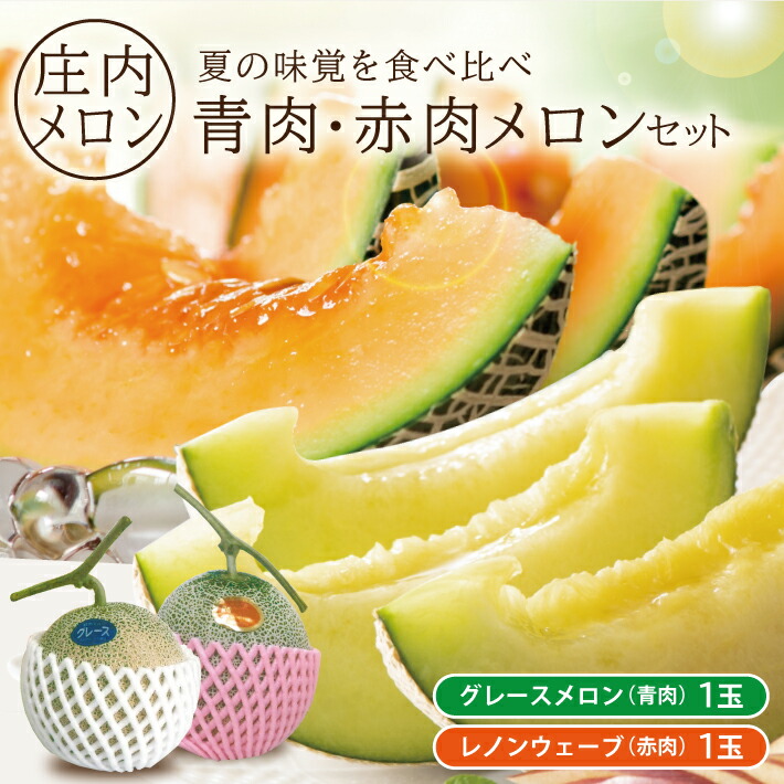 【ふるさと納税】庄内特産 青肉・赤肉メロンセット つる付 グレース (青肉) レノンウェーブ (赤肉) 各1玉 計2玉 約3kg 6月下旬～7月中旬頃お届け ※着日指定不可 緑 果物 フルーツ 東北 山形県 酒田市 庄内 セット品 農家直送 産地直送