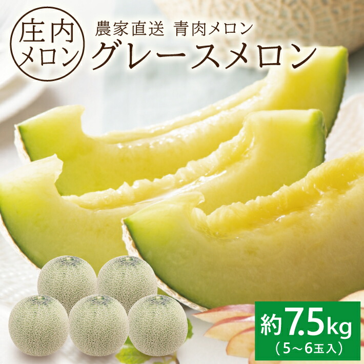 【ふるさと納税】庄内特産 青肉メロン グレース 約7.5kg 5～6玉入り 6月下旬～7月中旬頃お届け ※着日指定不可 青肉メロン 緑 果物 フルーツ 東北 山形県 酒田市 庄内 農家直送 産地直送 旬 夏