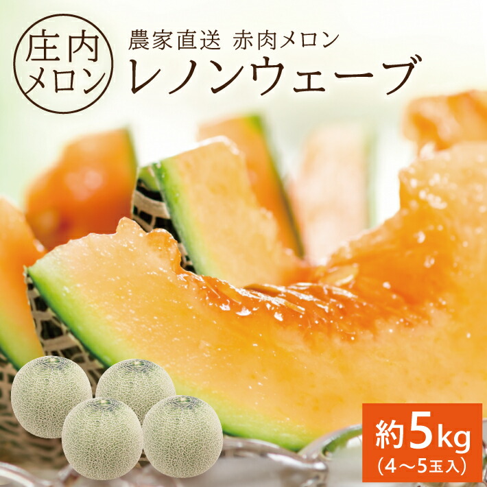 【ふるさと納税】庄内特産 赤肉メロン レノンウェーブ 約5kg 4～5玉入り 6月下旬～7月中旬頃お届け ※着日指定不可 赤肉メロン 果物 フルーツ 東北 山形県 酒田市 庄内 農家直送 産地直送 旬 夏