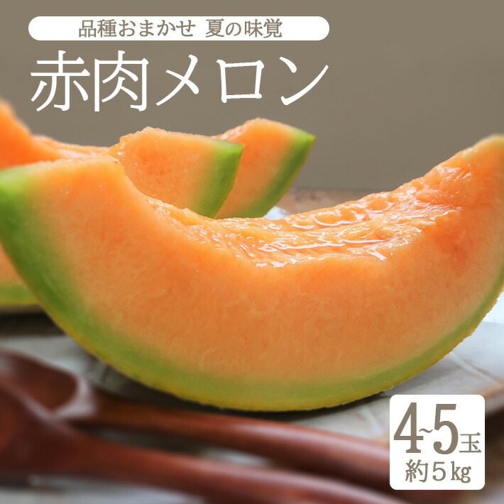 【ふるさと納税】赤肉メロン 品種おまかせ 4～5玉 約5kg 山形県酒田産 6月下旬～7月下旬頃お届け ※着日指定不可 フルーツ 果物 夏 オレンジ 庄内砂丘 東北 山形県 酒田市