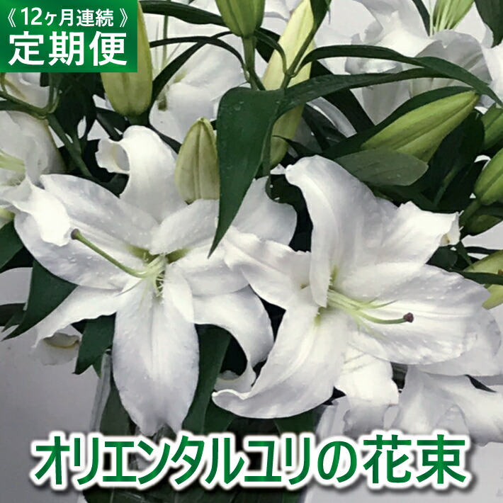 ふるさと納税 年6回お届け山形のお花の定期便 YAMAGATA FLOWER 山寺6 F2Y-3726 山形県 ふるさと納税 年6回お届け山形のお花の定期便 YAMAGATA