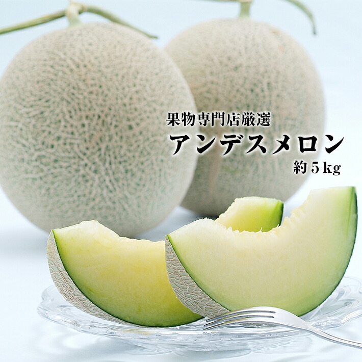 【ふるさと納税】庄内砂丘アンデスメロン 約5kg 4～5玉入 7月上旬～7月下旬頃お届け ※着日指定不可 メロン 青肉メロン 果物 フルーツ 東北 山形県 酒田市 庄内 夏