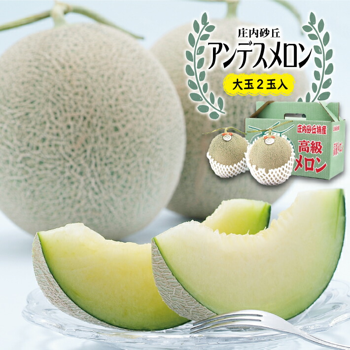 【ふるさと納税】庄内砂丘 アンデスメロン 大玉 2玉 3kg以上 7月上旬～7月下旬頃お届け ※着日指定不可 メロン 青肉メロン 果物 フルーツ 東北 山形県 酒田市 庄内 夏