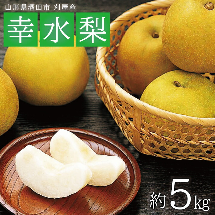 【ふるさと納税】幸水梨 約5kg 10～16玉入 山形県酒田市刈屋産 8月下旬～9月中旬頃お届け ※着日指定不可 なし ナシ 和梨 刈屋梨 秋 果物 フルーツ 東北 山形県 酒田市 庄内