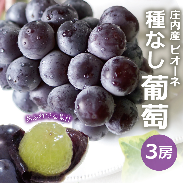 激安通販新作 種なし ピオーネ 3房 2kg以上 庄内産 9月上旬〜9月下旬頃お届け 冷蔵便 ※着日指定 離島発送不可 葡萄 ぶどう ブドウ 東北  山形県 酒田市 庄内 果物 フルーツ 旬 秋 fucoa.cl