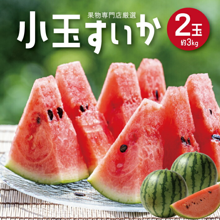【ふるさと納税】小玉すいか 約3kg 2玉 山形県庄内産 7月上旬～8月上旬頃お届け ※着日指定不可 スイカ 西瓜 小玉 果物 くだもの フルーツ 東北 山形県 庄内 夏 赤