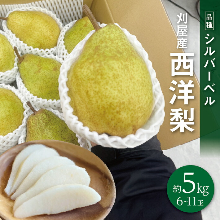 【ふるさと納税】刈屋産 西洋梨 シルバーベル 約5kg 6～11玉入 12月上旬～12月中旬頃お届け ※着日指定不可 洋梨 洋ナシ 洋なし 果物 フルーツ 東北 山形県 酒田市 庄内 秋