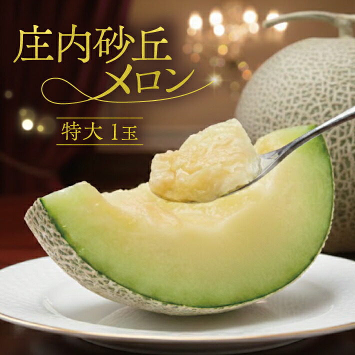 【ふるさと納税】特大庄内砂丘メロン 青肉メロン 1玉 2.2～2.5kg つる付き 7月下旬～8月中旬頃お届け ※着日指定不可 特大玉 大玉 メロン 青肉メロン 果物 フルーツ 東北 山形県 酒田市 庄内 夏