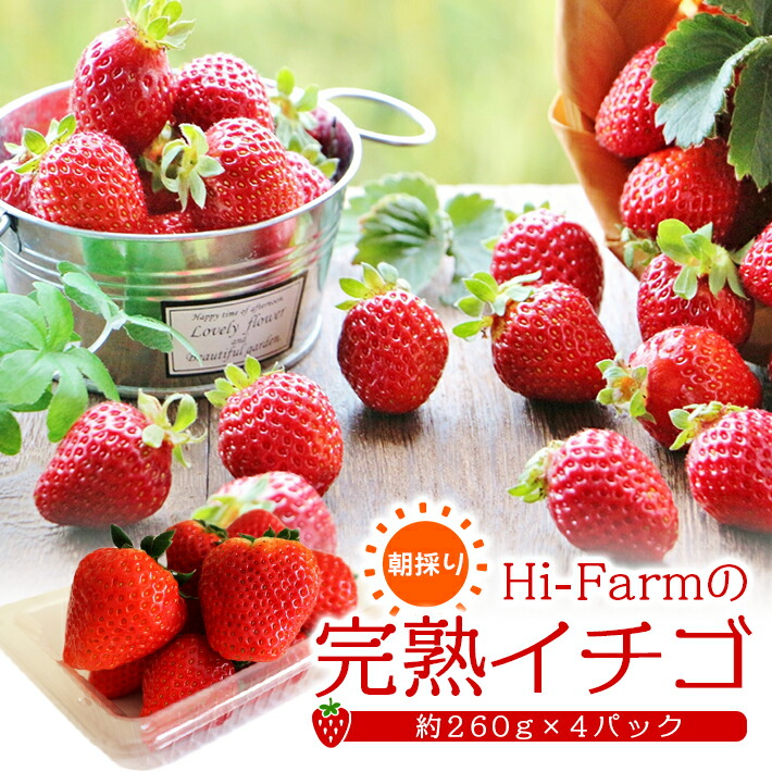 【ふるさと納税】Hi-Farmの完熟イチゴ 約260g×4パック 山形県酒田産 5月中旬～6月下旬頃お届け 冷蔵便 ※着日指定・離島発送不可 いちご 苺 イチゴ strawberry 完熟 東北 山形県 酒田市 春 旬 フルーツ