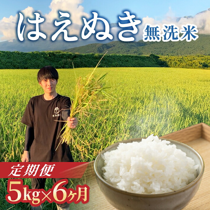 【ふるさと納税】≪新米予約≫ ≪6ヶ月定期便≫ 無洗米 はえぬき 5kg×6ヶ月連続 計30kg 令和8年産米 山形県酒田産 ご希望期間の毎月下旬にお届け 東北 山形県 酒田市 庄内地方 庄内平野 米 お米 白米 ブランド米 ご飯 ごはん 農家直送 産地直送 本多農園