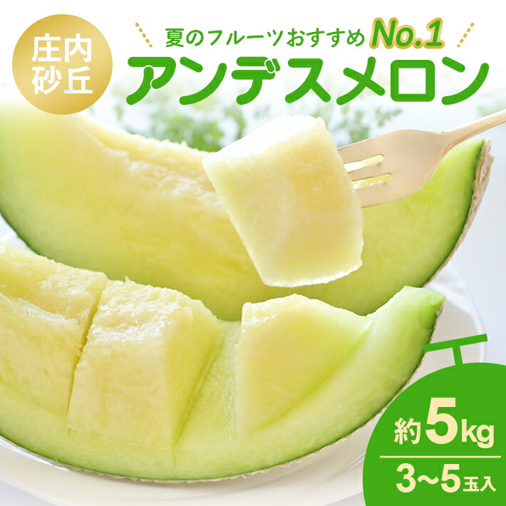 【ふるさと納税】庄内砂丘 アンデスメロン 3～5玉 約5kg 6月中旬～7月下旬頃お届け ※着日指定不可 メロン 青肉メロン 庄内砂丘メロン 緑 夏 果物 フルーツ くだもの 旬 東北 山形県 酒田市 庄内