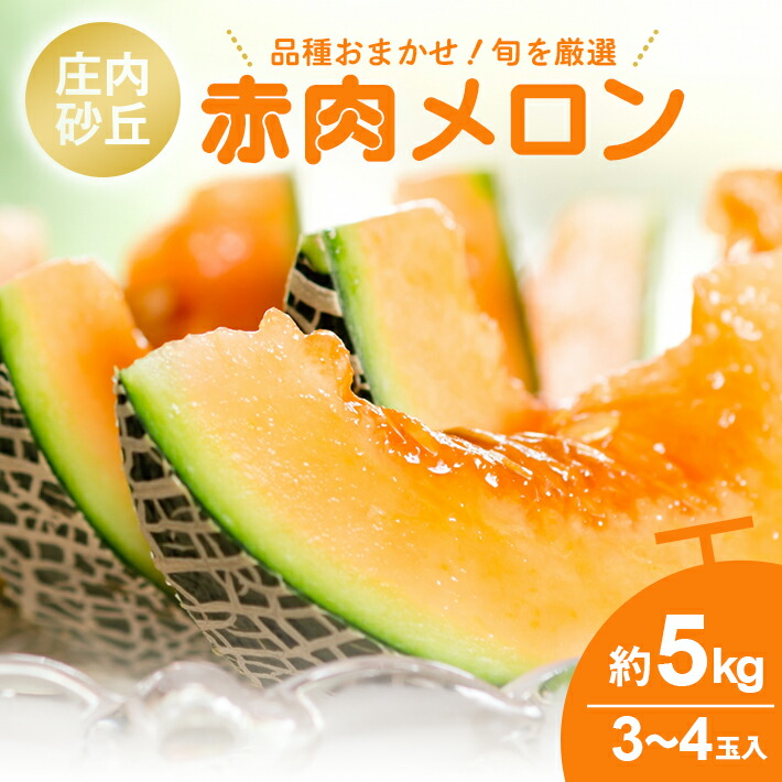 【ふるさと納税】庄内砂丘 赤肉メロン 品種おまかせ 3～4玉 約5kg 6月中旬～7月下旬頃お届け ※着日指定不可 庄内砂丘メロン オレンジ 夏 果物 フルーツ くだもの 旬 東北 山形県 酒田市 庄内