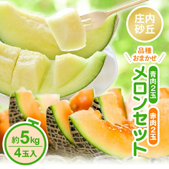 【ふるさと納税】庄内砂丘 青肉・赤肉メロンセット 品種おまかせ 4玉 約5kg 6月中旬～7月下旬頃お届け ※着日指定不可 庄内砂丘メロン オレンジ 緑 夏 果物 フルーツ くだもの 旬 東北 山形県 酒田市 庄内