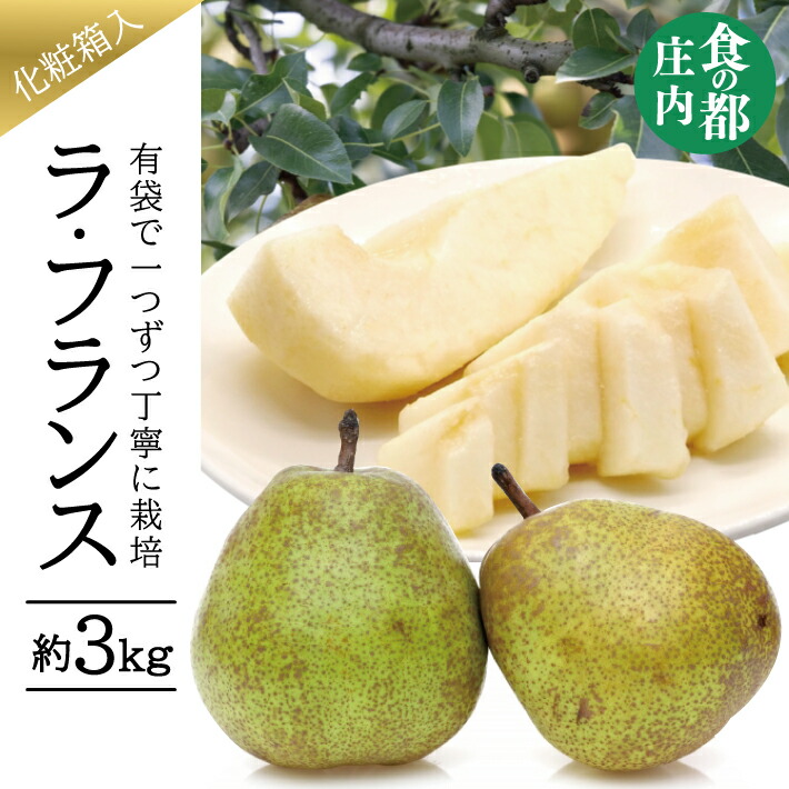 【ふるさと納税】ラ・フランス 約3kg 7～10玉 11月上旬～12月中旬頃お届け 有袋栽培 化粧箱入り ※着日指定不可 洋梨  洋梨の女王 果物 くだもの フルーツ 秋 旬 山形県 酒田市 庄内 食の都庄内