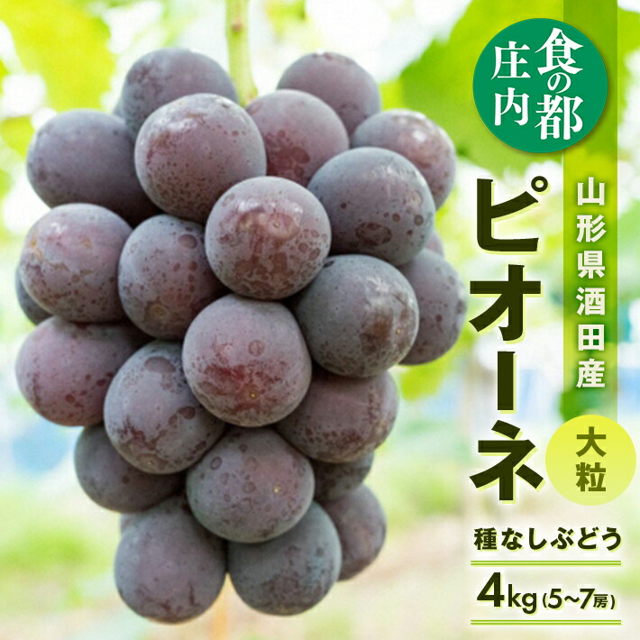 【ふるさと納税】種なし 大粒ぶどう ピオーネ 約4kg 5～7房 9月上旬～10月上旬頃お届け 冷蔵便 ※離島発送・着日指定不可 ぶどう ブドウ 葡萄 果物 くだもの フルーツ 秋 旬 酒田 庄内